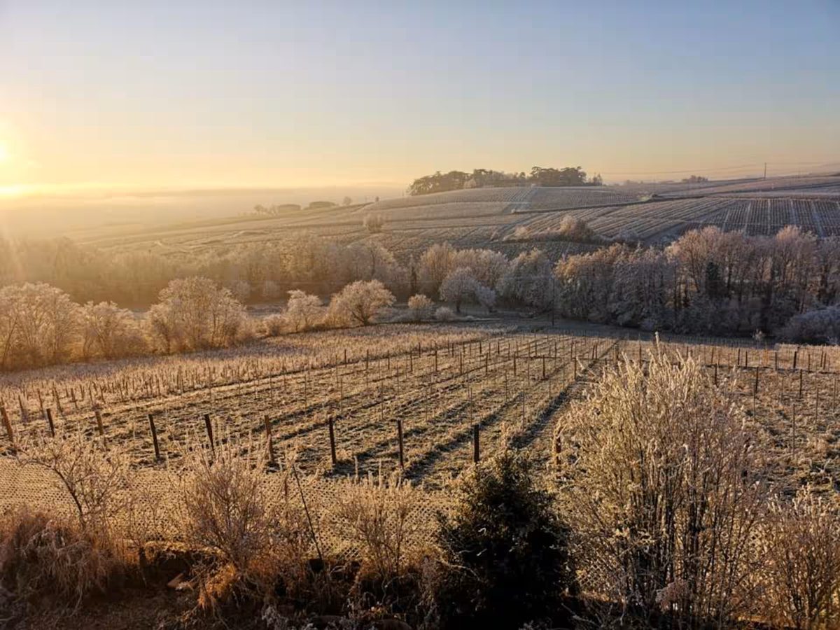 Paysages du Beaujolais